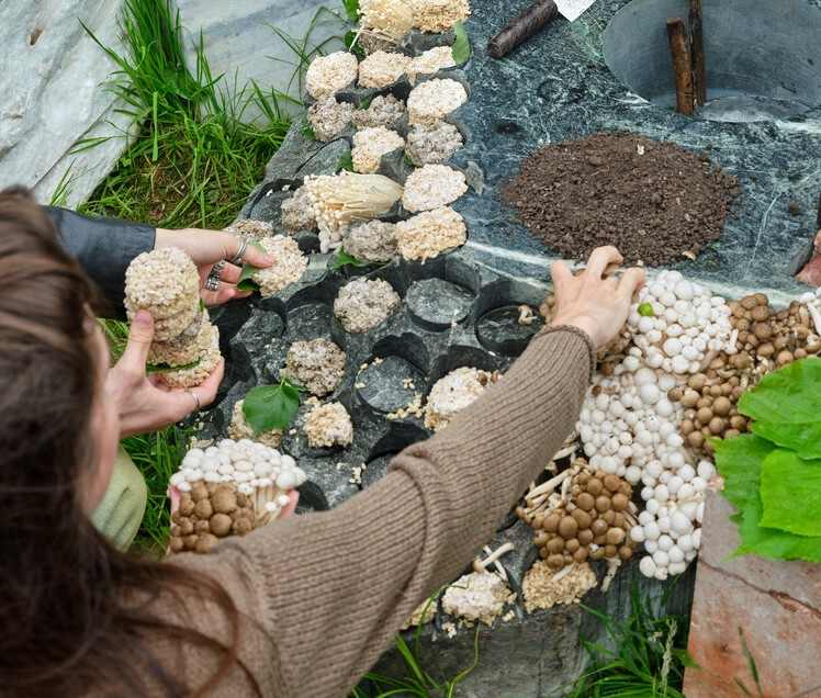 14 个围绕“共餐”而建的项目 - 19 的图像 21