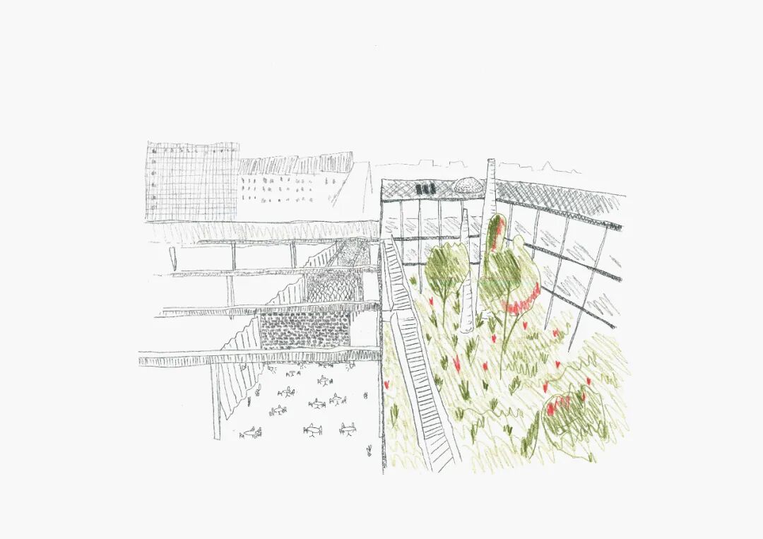 2026年密斯奖结果揭晓，谁拿下欧洲建筑最高荣誉之一？(图11)