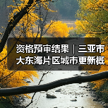 资格预审结果|三亚市大东海片区城市更新概念规划设计国际竞赛(图2) 资格预审结果|三亚市大东海片区城市更新概念规划设计国际竞赛(图2)