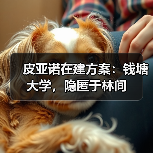 皮亚诺在建方案:钱塘大学,隐匿于林间(图4) 皮亚诺在建方案:钱塘大学,隐匿于林间(图4)