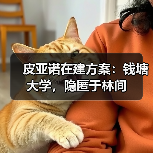 皮亚诺在建方案：钱塘大学，隐匿于林间（图1）