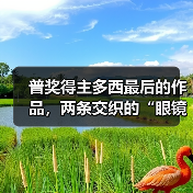 普奖得主多西最后的作品,两条交织的“眼镜蛇”(图2) 普奖得主多西最后的作品,两条交织的“眼镜蛇”(图2)