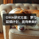 OMA研究方案：罗马延续计划，面向未来的愿景规划（图4）
