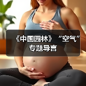 《中国园林》“空气”专题导言(图2) 《中国园林》“空气”专题导言(图2)