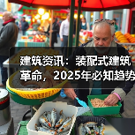 建筑资讯：装配式建筑革命，2025年必知趋势与案例（图3）