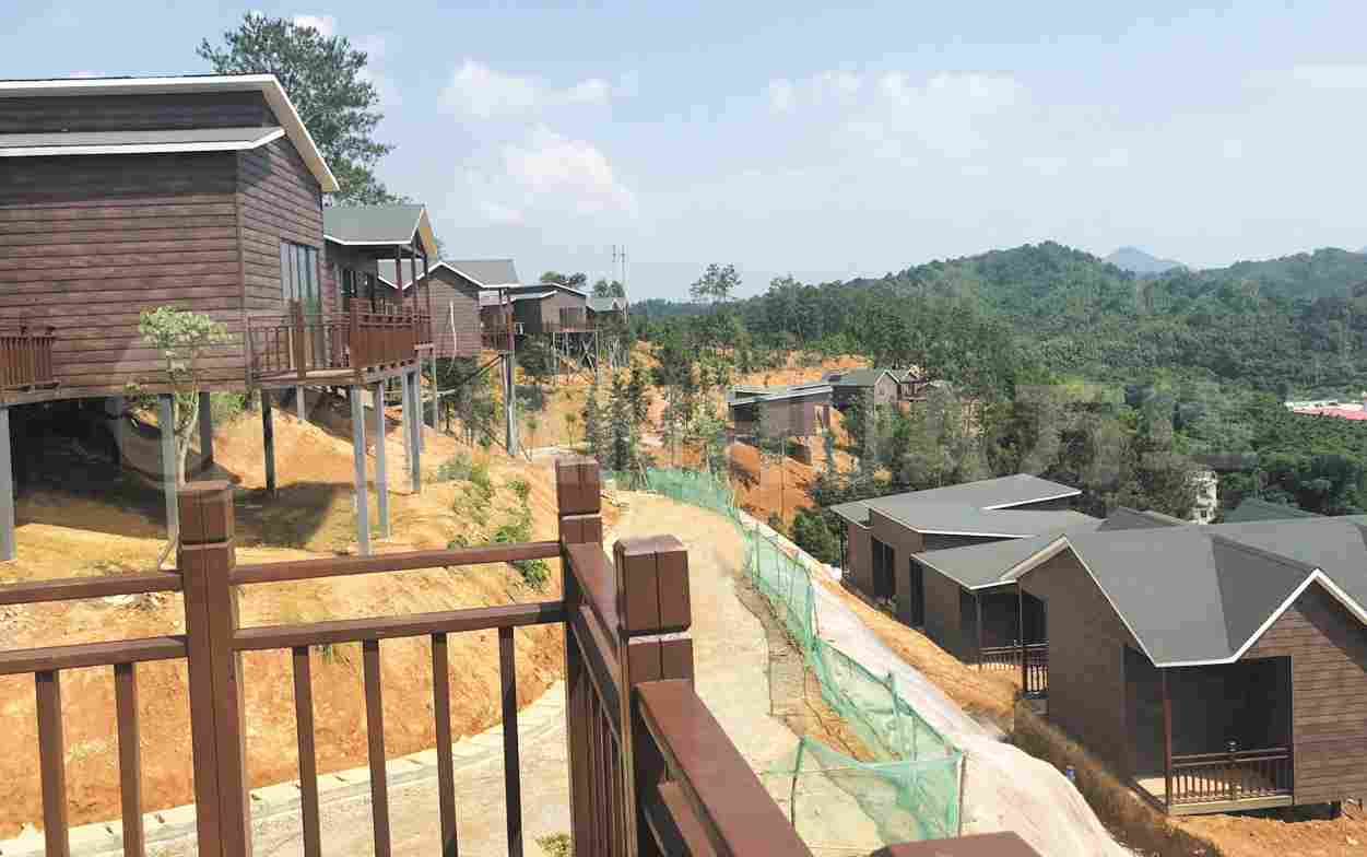 广西六堡特色小镇(图5)